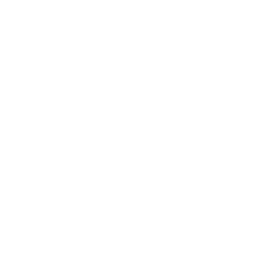 Heating icon
